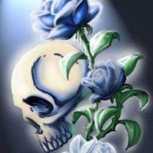 Meet your Posher, Amanda and daniel